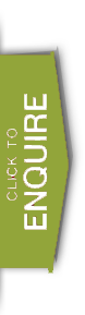 Abu Dhabi Sightseeing Tours